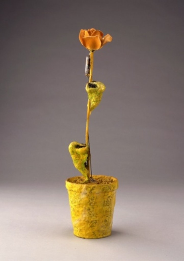 Tetsumi Kudo, Cultivation, 1968