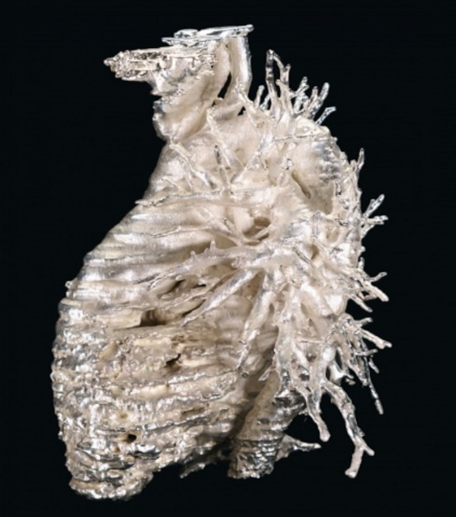 The Heart by Jan Prophet