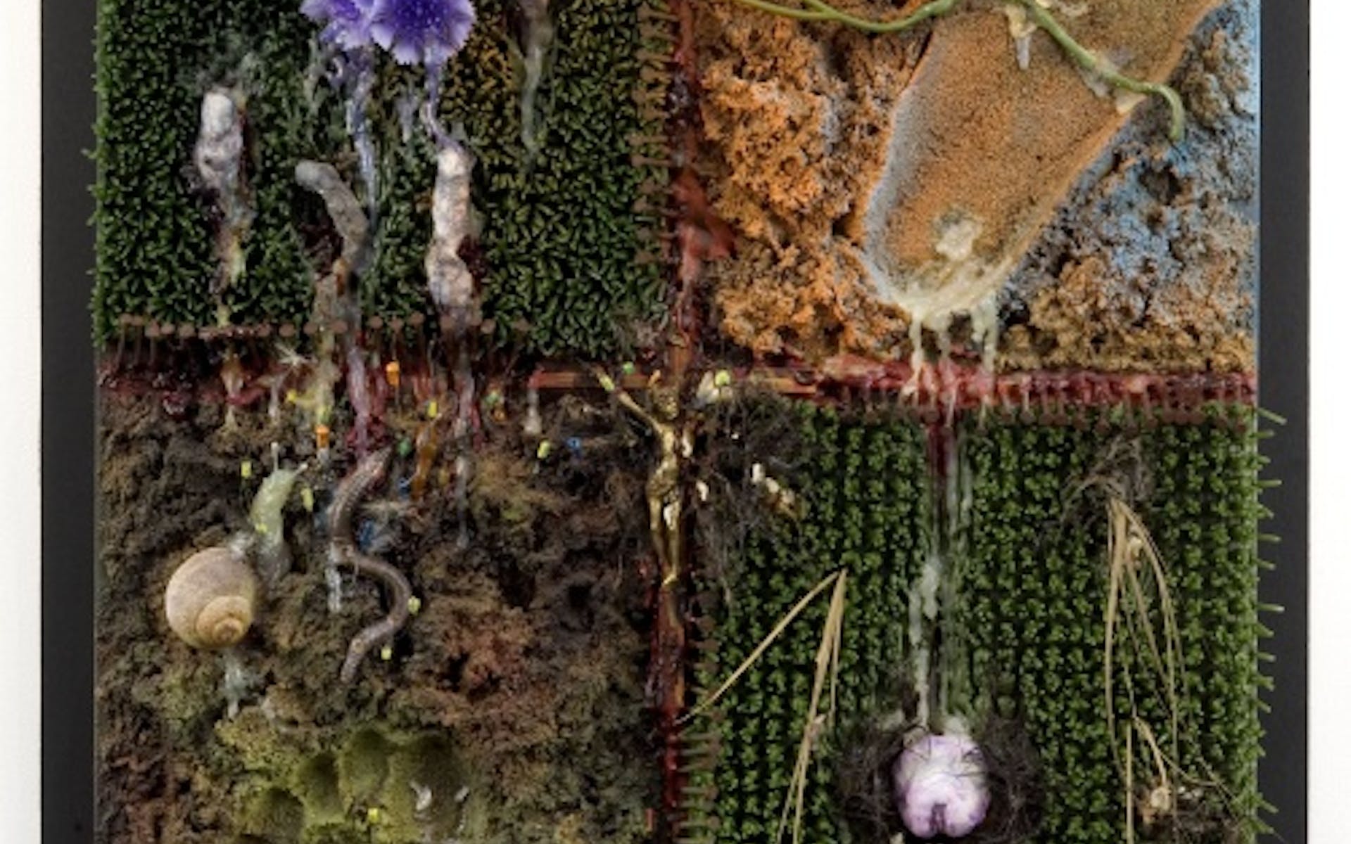Tetsumi Kudo, Pollution—Cultivation—New Ecology (Pollution—cultivation—nouvelle écologie), 1971-1973