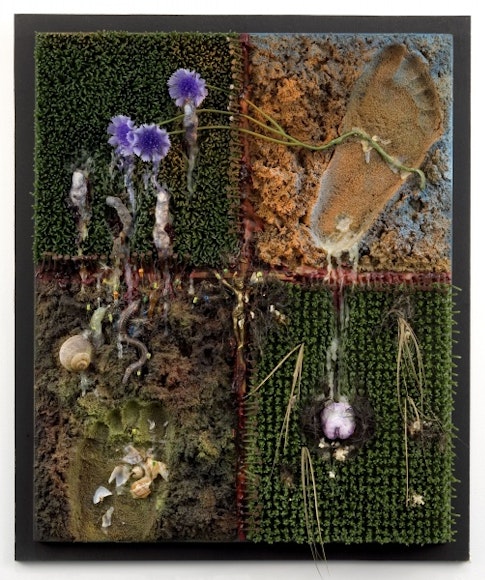 Tetsumi Kudo, Pollution—Cultivation—New Ecology (Pollution—cultivation—nouvelle écologie), 1971-1973