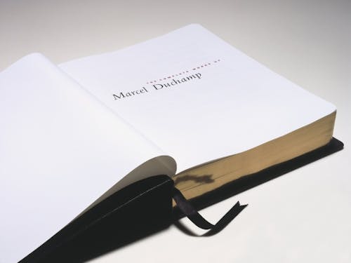 David Hammons, The Holy Bible: Old Testament, 2002