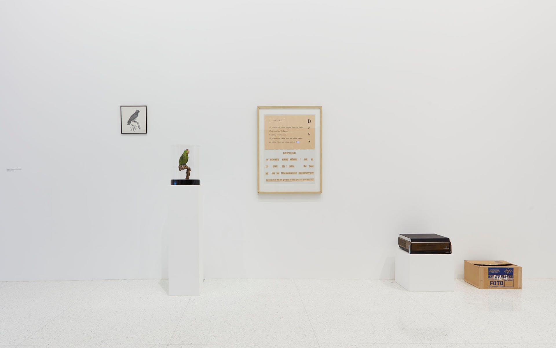 View of the exhibition Question the Wall Itself, 2016; Marcel Broodthaers, Dites partout que je l'ai dit (Say Everywhere I Said So), 1974 (Photo: Gene Pittman, ©Walker Art Center)
