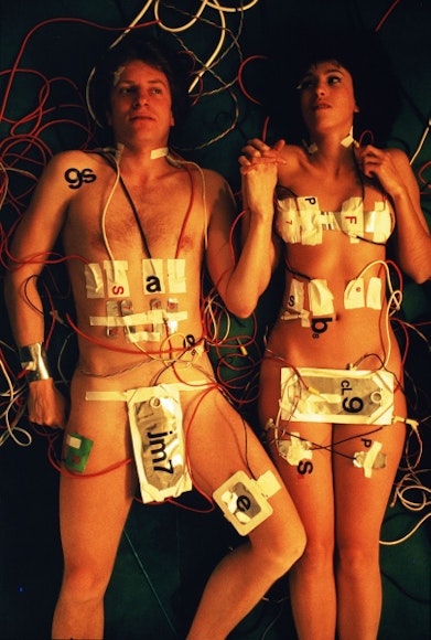 The Model Couple (Le Couple Témoin)