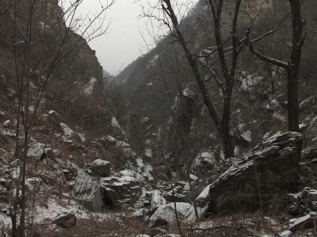 Heavy Sleepers, 2006