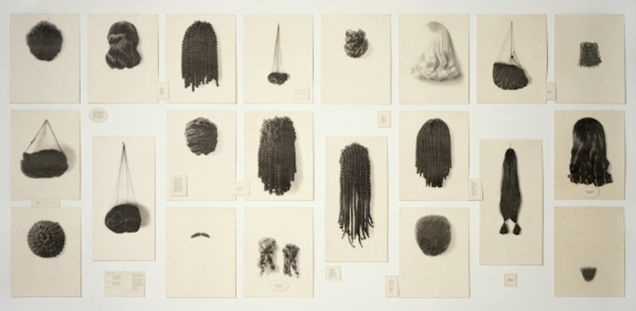 Lorna Simpson, Wigs (portfolio), 1994