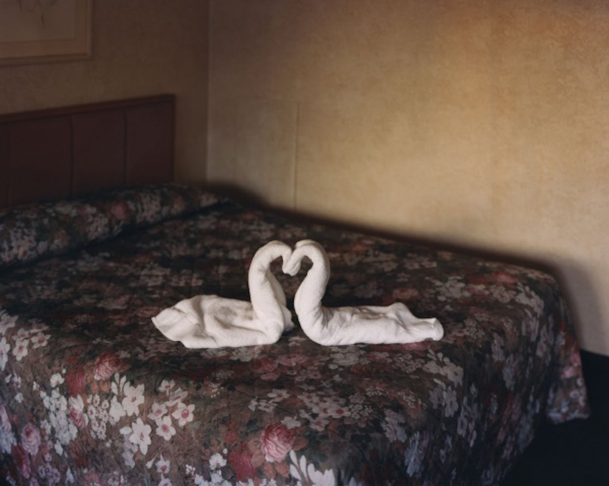 Alec Soth, Two Towels, 2004
