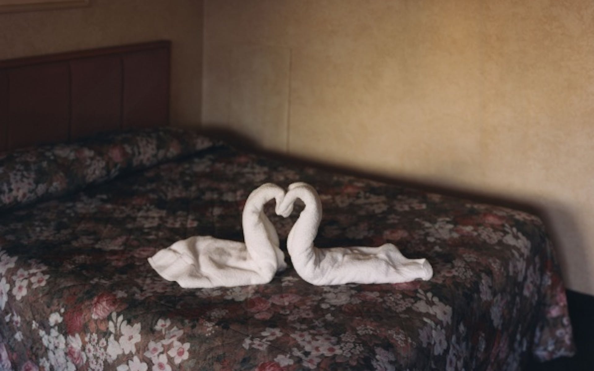 Alec Soth, Two Towels, 2004