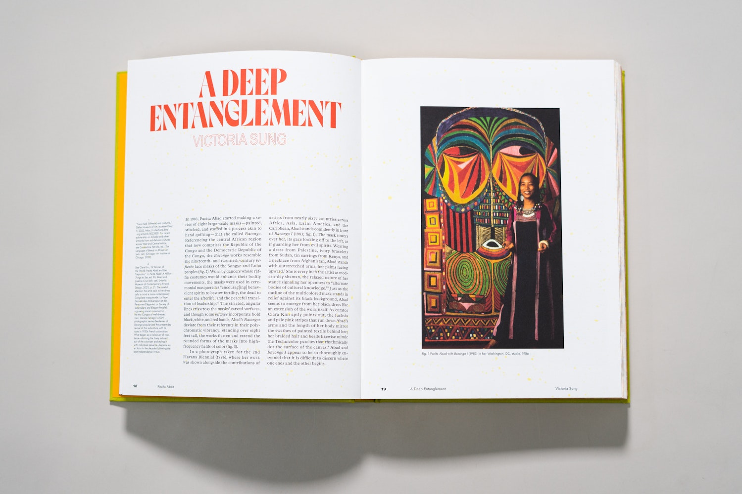 Spread of a large art book is open to a page of an essay with the title A Deep Etanglement.