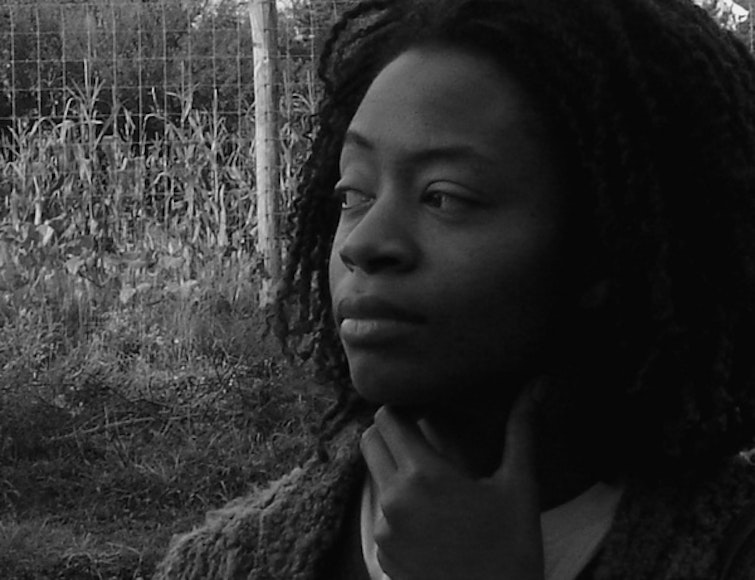 Kara Walker and Hilton Als