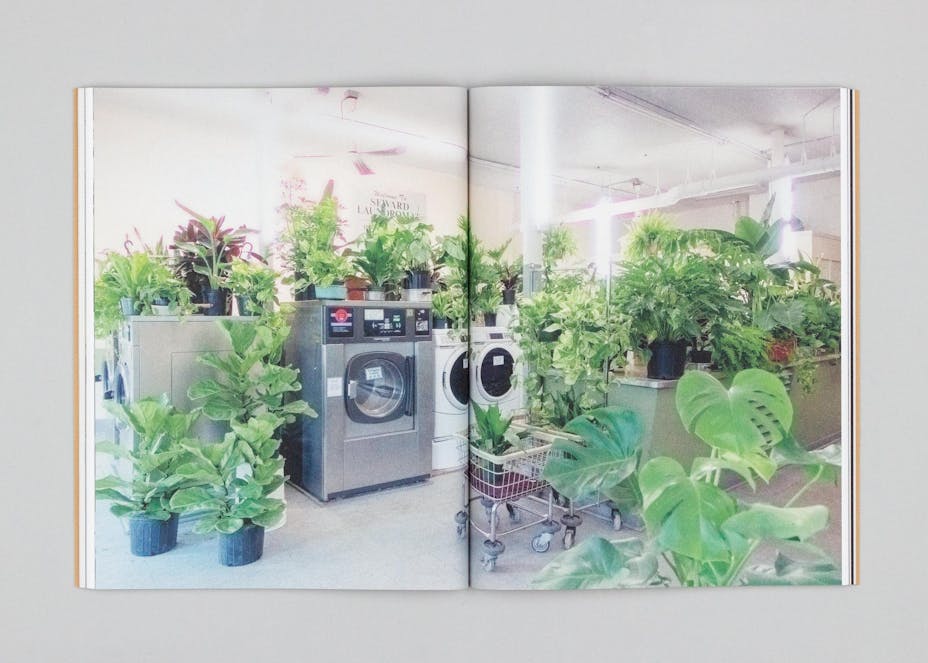 Two pages of a book with a full-page photograph of plants on top of washing machines in a laundromat.