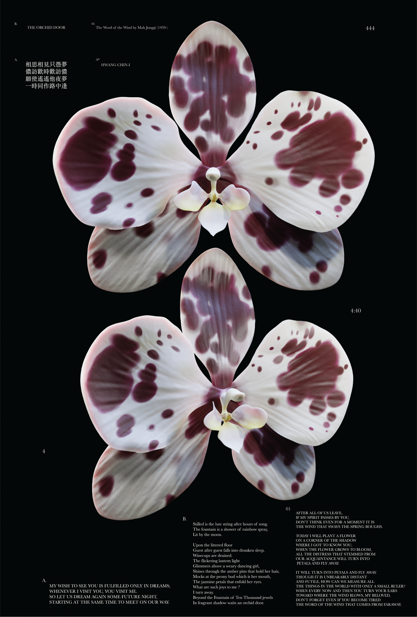 Image of poster with two 3-d generated images of spotted orchids on a black background