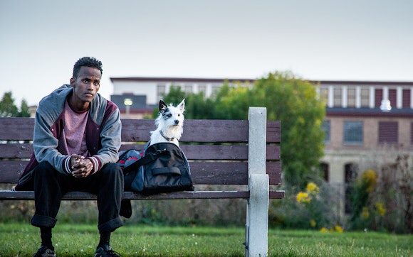 Man sitting on bench with dog and gym bag.