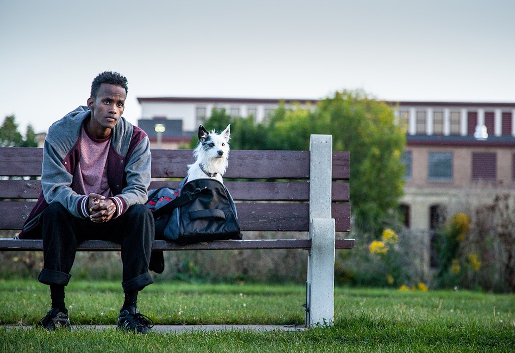 Man sitting on bench with dog and gym bag.