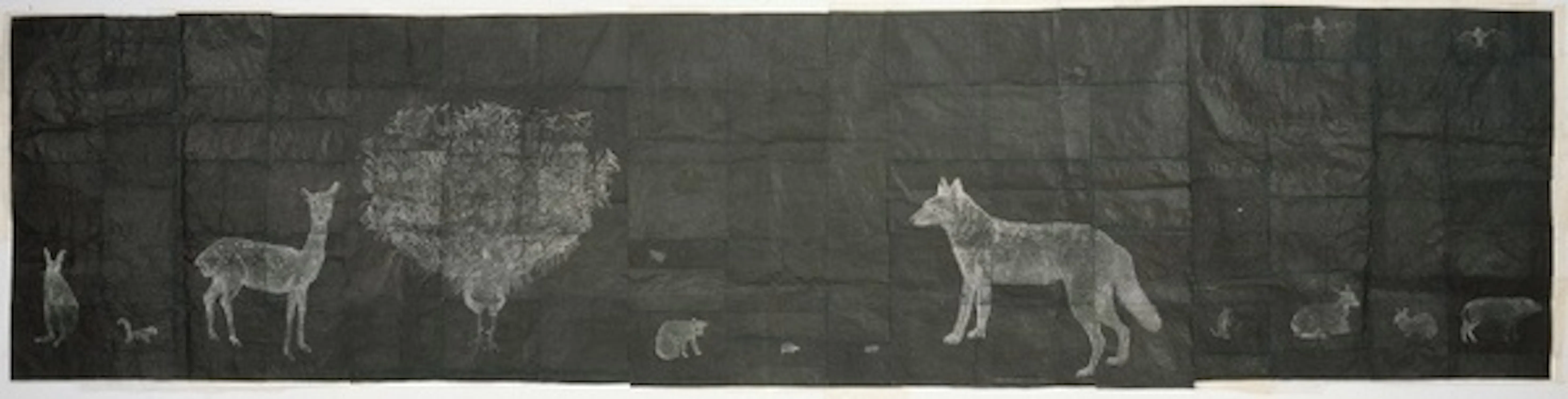 Kiki Smith Drawings