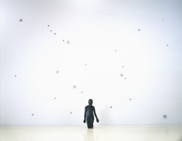 Kiki Smith Procession 洋書 Petra Giloy-Hirtz: Kiki Smith. Prestel Publishing (Hardcover)