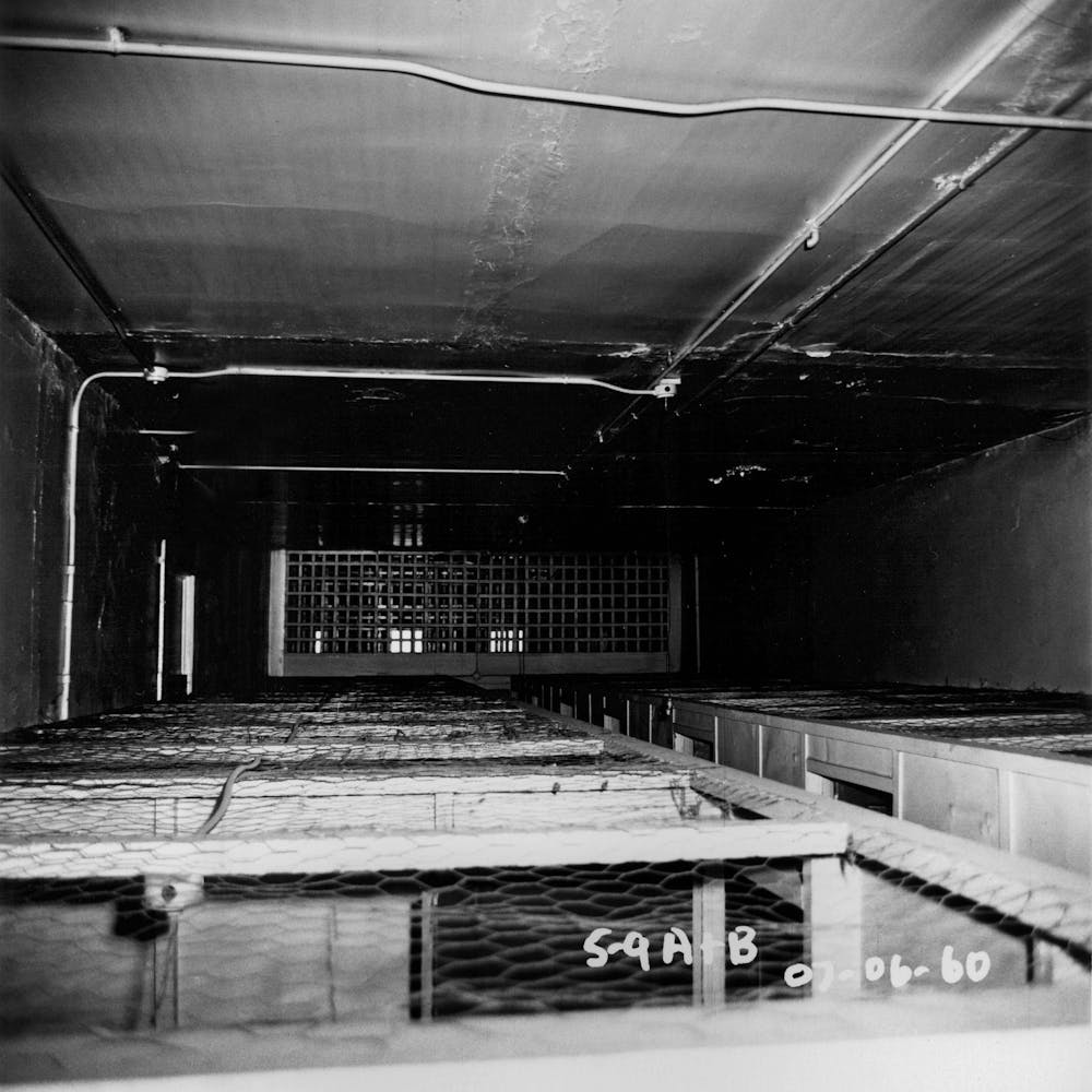 5. Archival image of the space above the rooms in the cubicle hotels. Chicken wire is secured to the top of each unenclosed room to prevent theft.