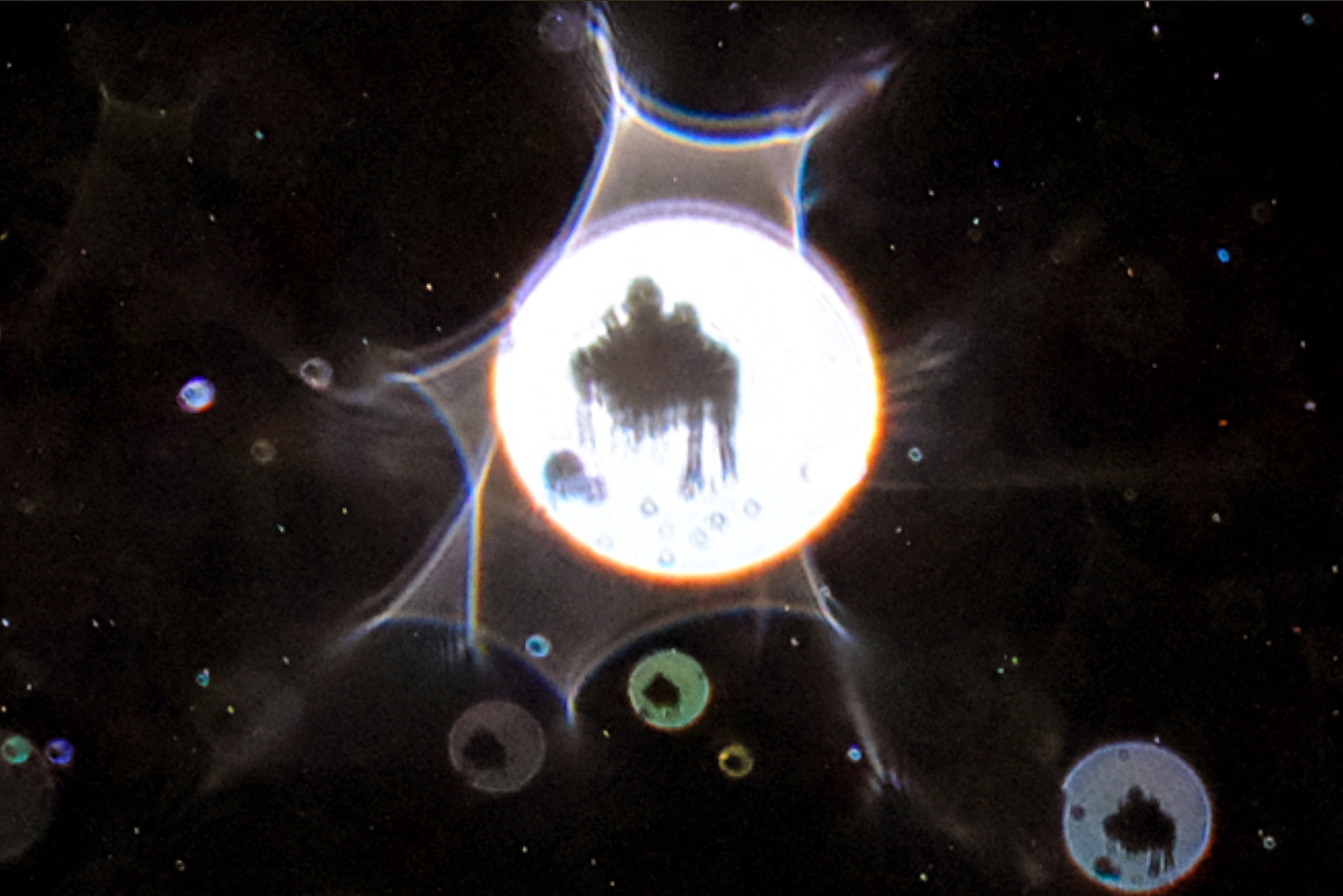 Psychic Possibilities: Spirit Photography in the 20th Century and