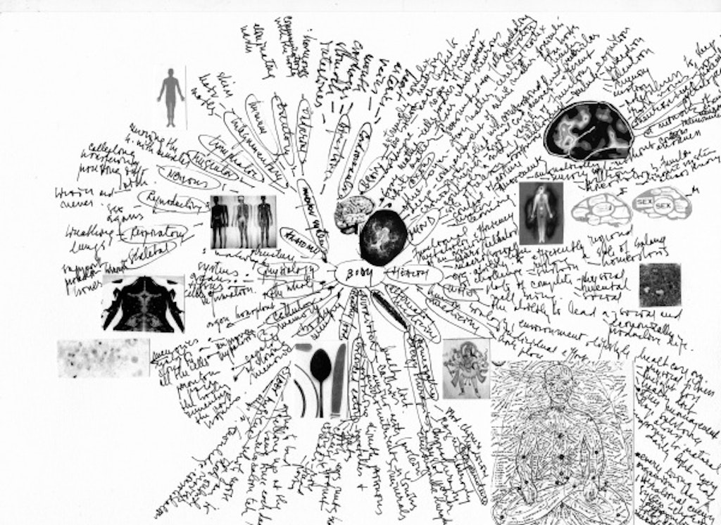 Lia Perjovschi, Body Mind Map, 2006