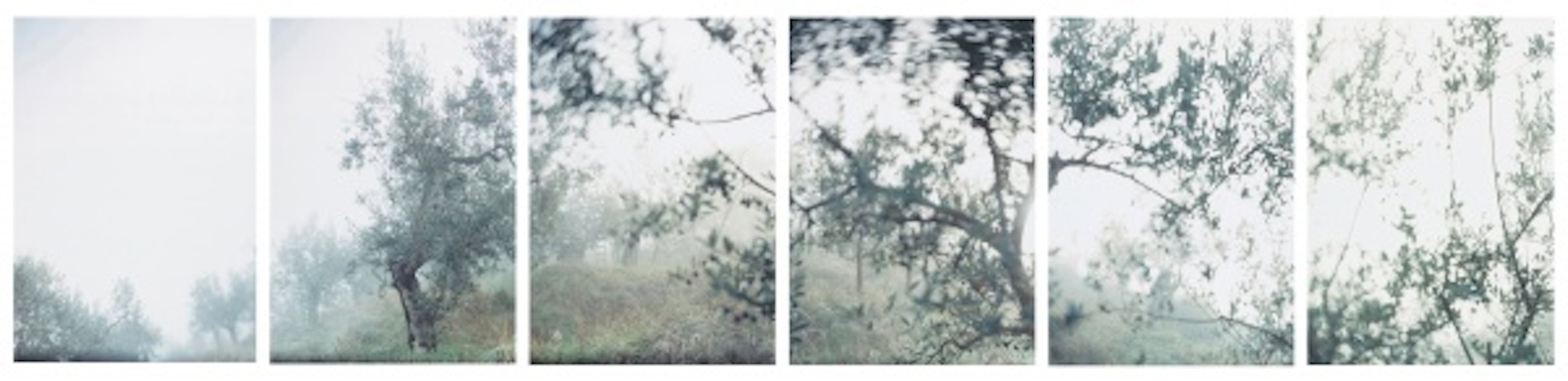JoAnn Verburg, Thanksgiving, 2001