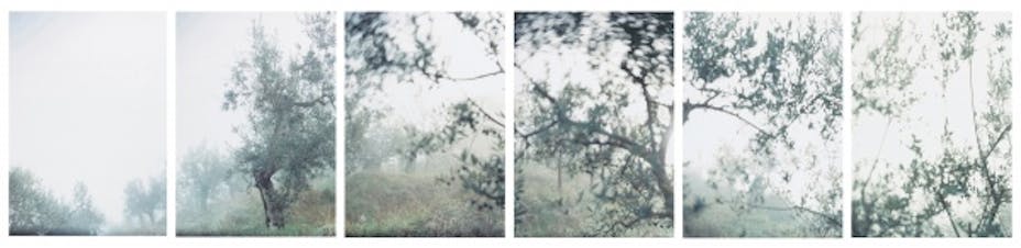JoAnn Verburg, Thanksgiving, 2001