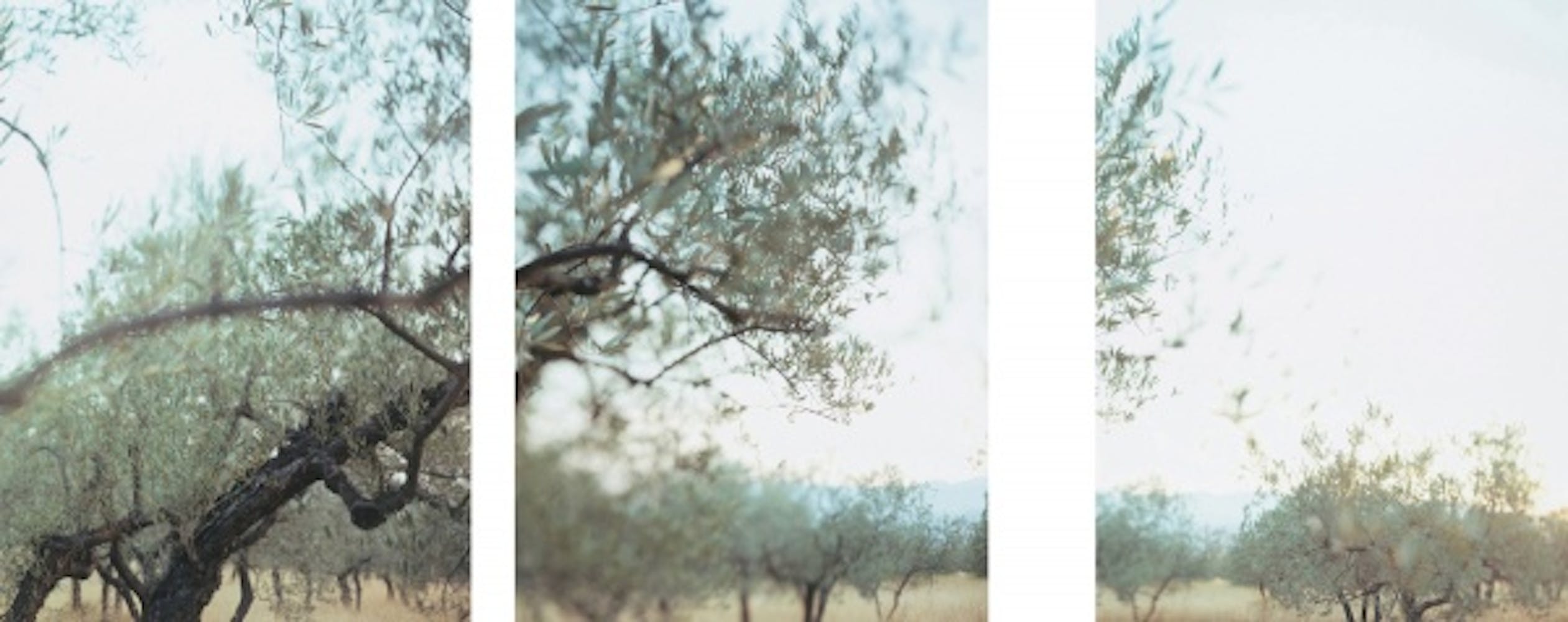 JoAnn Verburg, Exploding Triptych, 2000