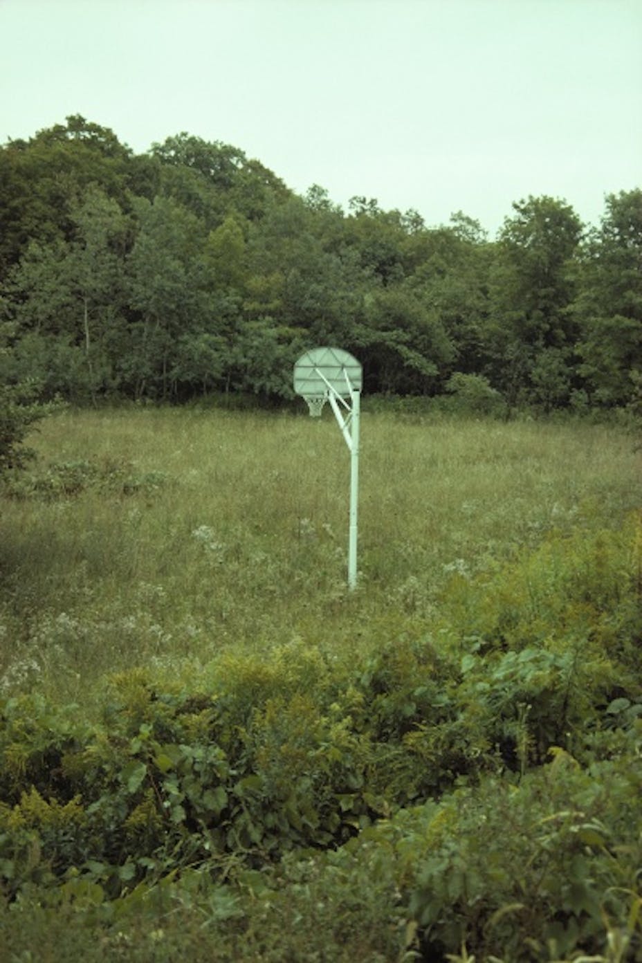 Richard Prince, Upstate, 1995-99