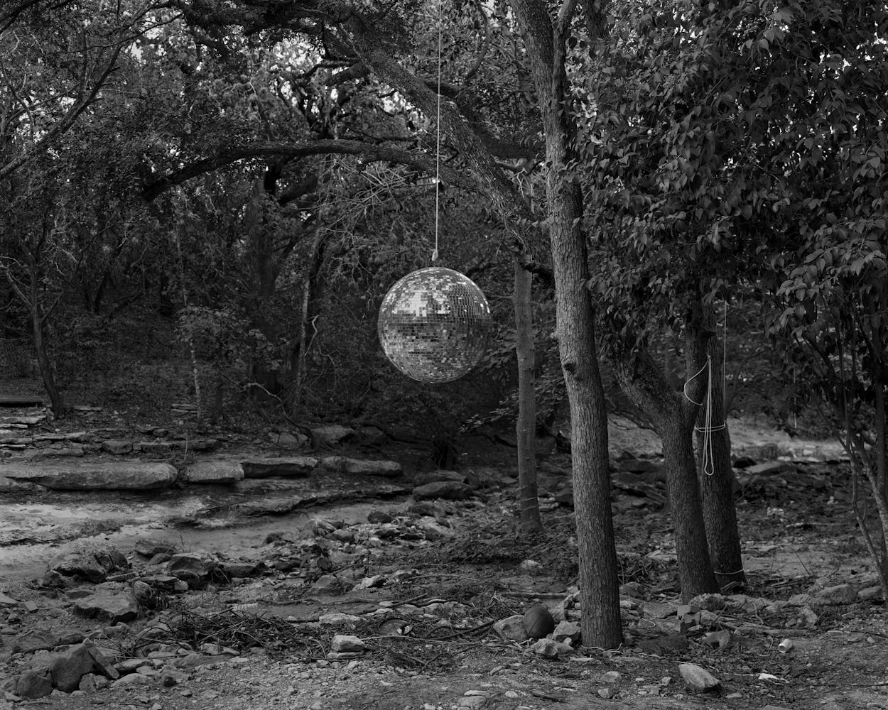 black and white image of a disco ball hanging by string from a tree in the woods