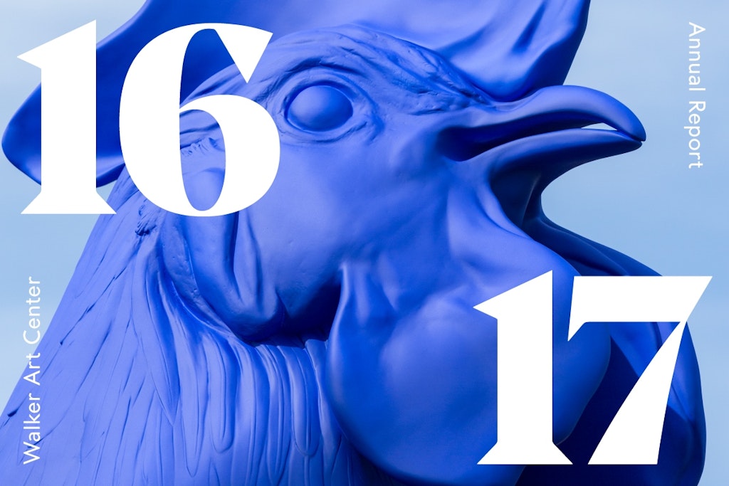 Annual Report 2016-17 PDF thumbnail