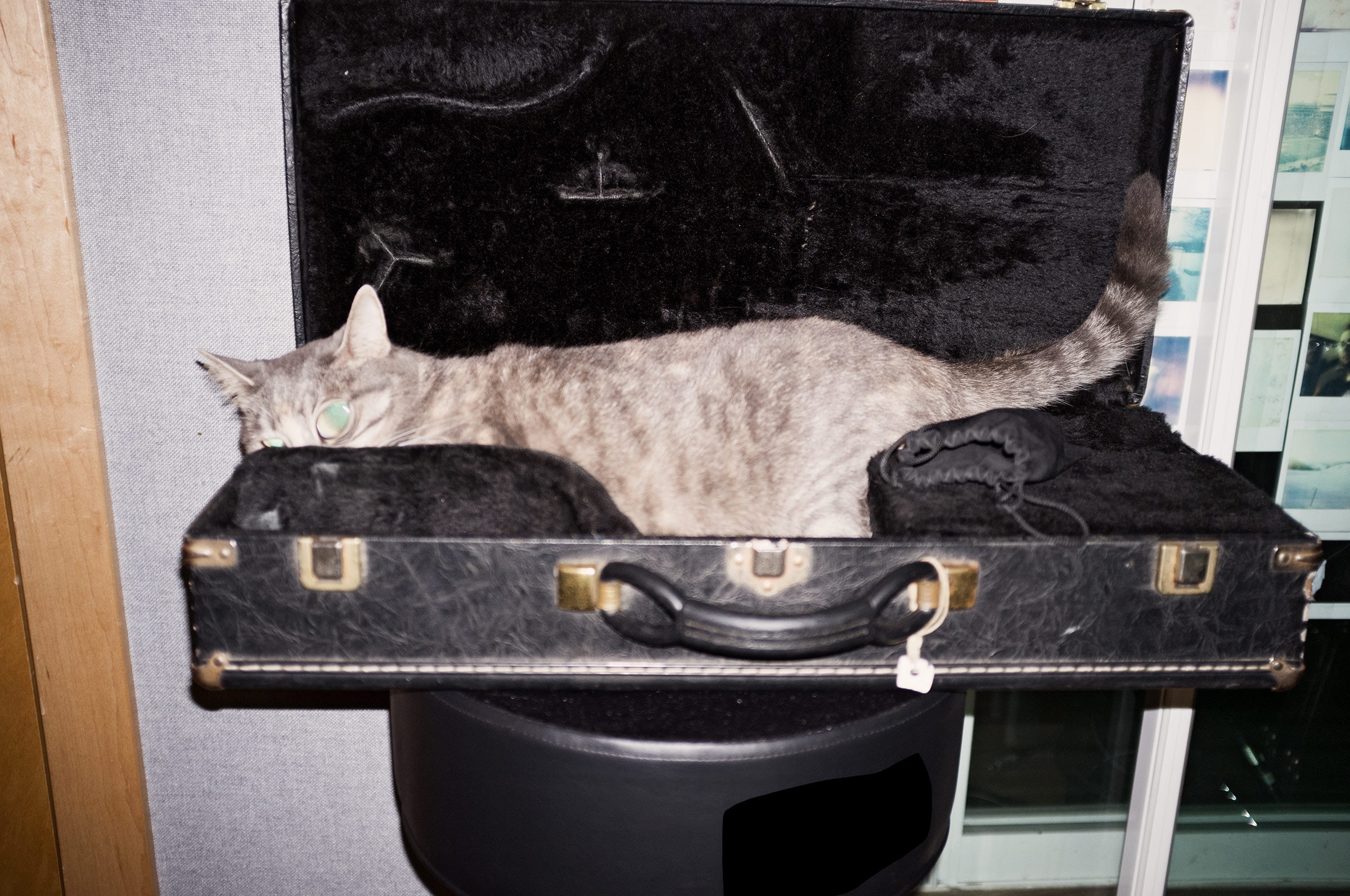 man inside instrument case