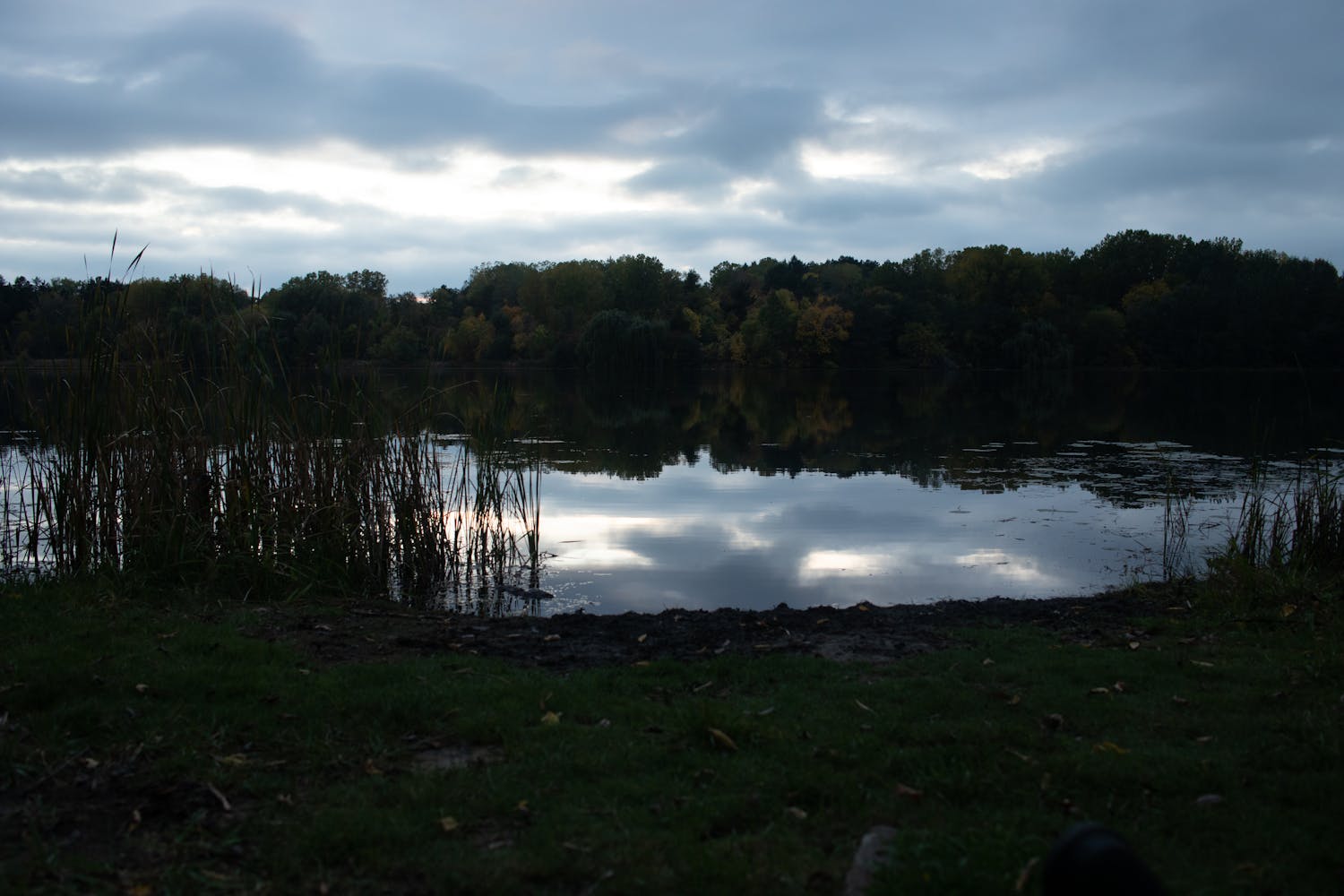 A lake surrounded by woods.