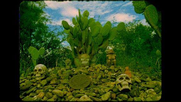 Image of cactus on hill with skulls