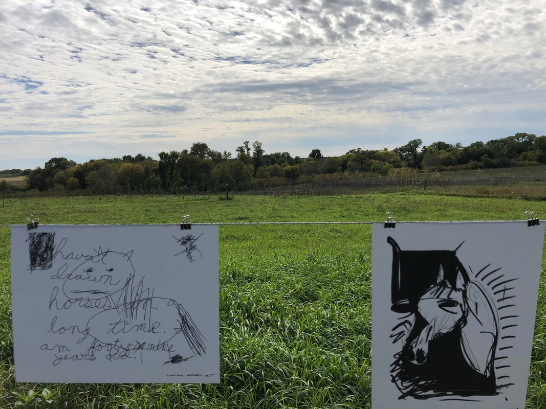 The foreground has a clothes line with two black and white drawings hung to it: one with a rudimentary animal sketch and cursive words, the other dark strokes illustrating a horse head. A grassy field with a forest on the horizon and cloudy skies in the background