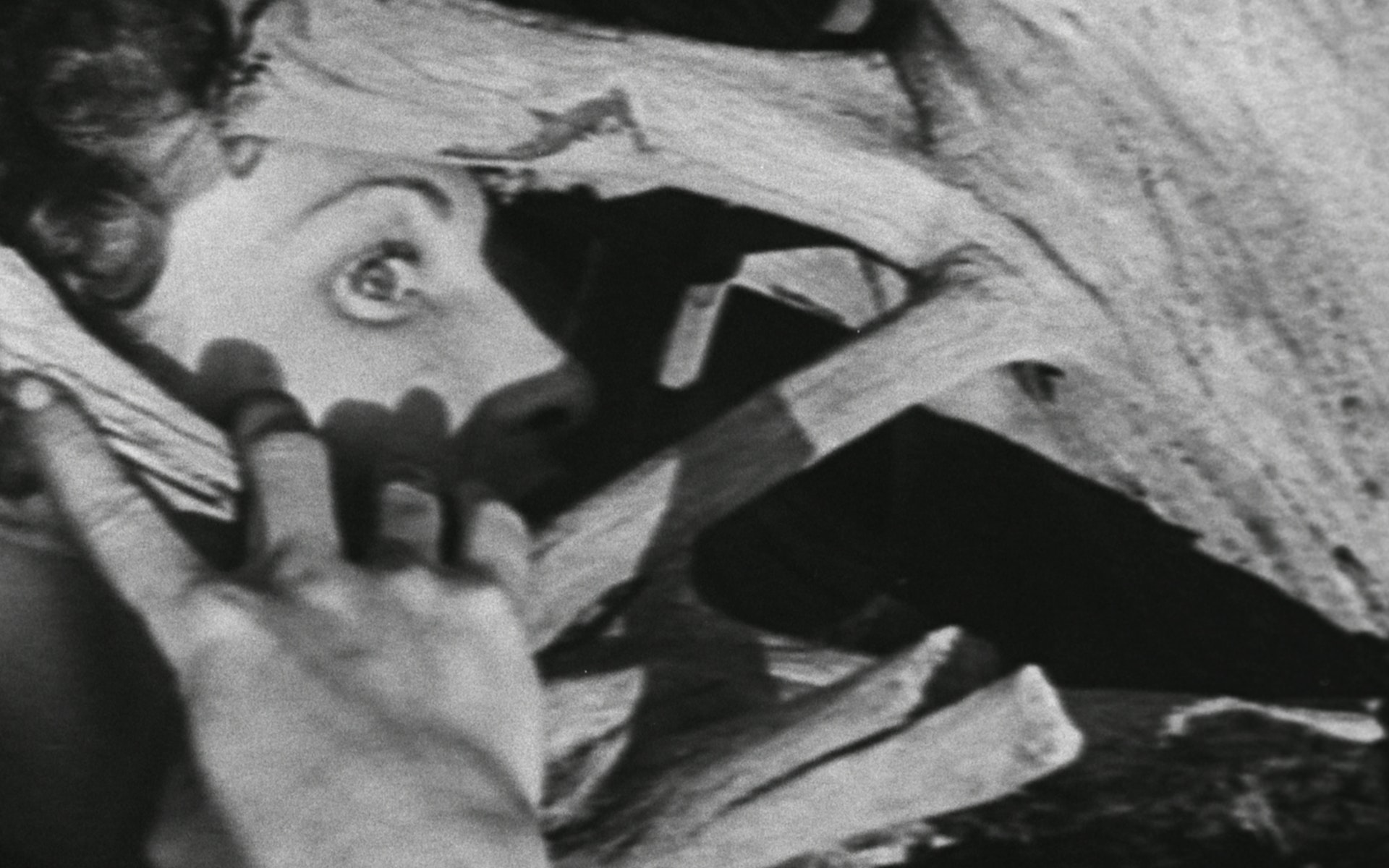 A women's eye peeks through a tangle wodden branch.