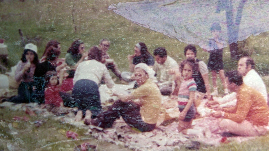 Blurred old family photo of a large group of people sitting on a picnic blanket. The image has a textural overlay from a double exposure of foliage.