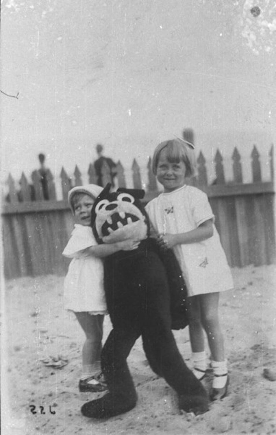 Feline Darlings And The Anti Cute