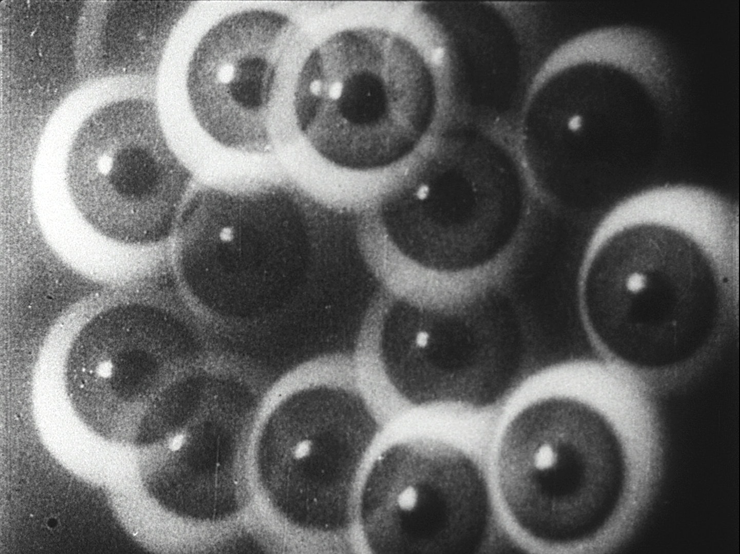 アート・デザイン・音楽 AKADEMIE DER KUNSTE : Hans Richter アート・デザイン・音楽 AKADEMIE DER KUNSTE : Hans Richter