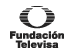 Fundacion Televisa Logo