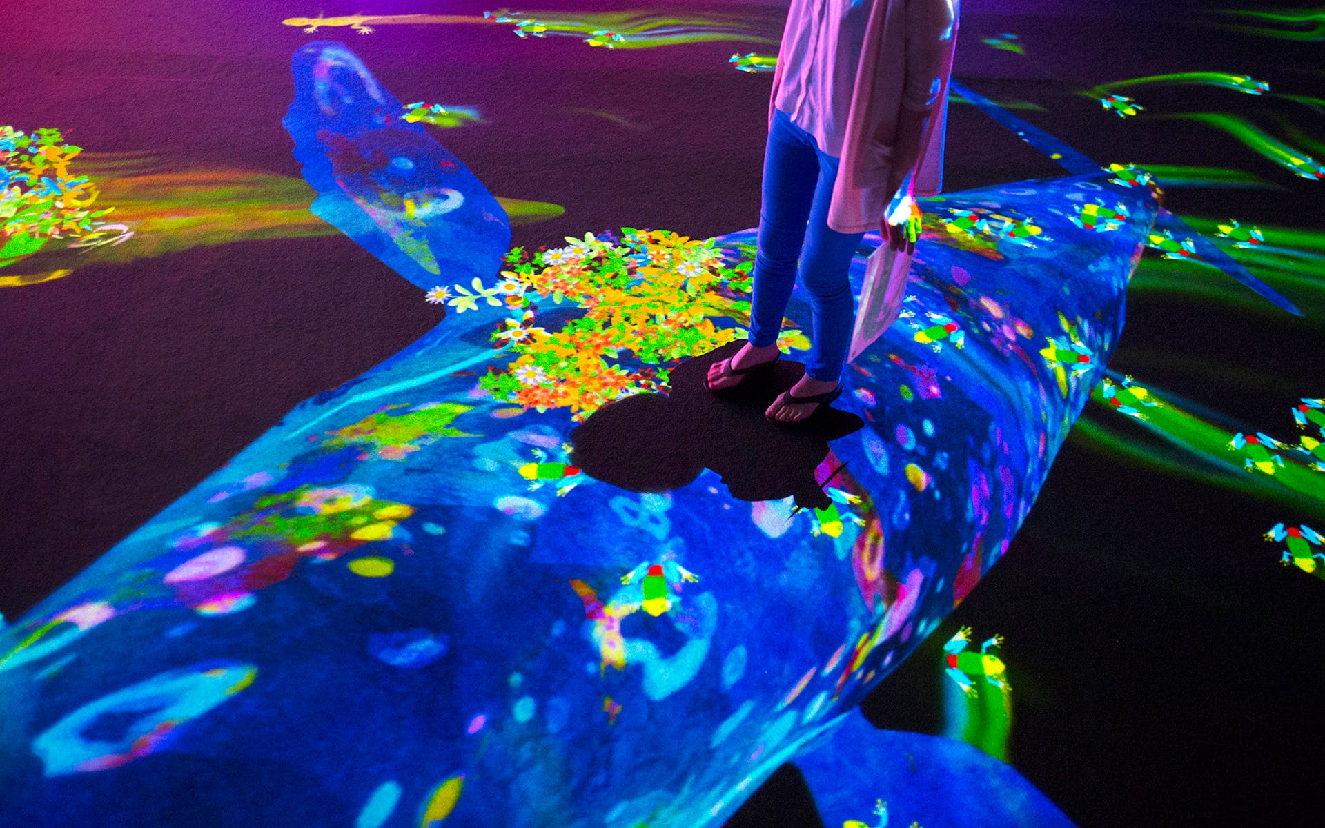 teamLab, View of Graffiti Nature, 2016, (Photo: ©teamLab, courtesy Pace Gallery)