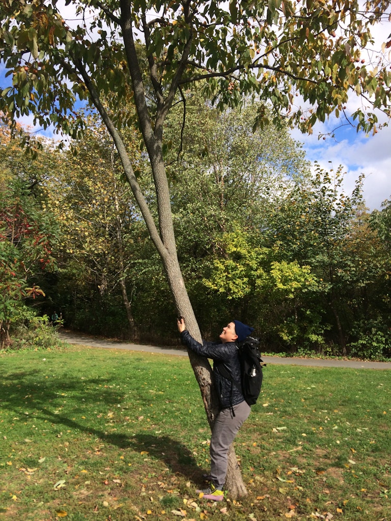 Plants poke out of a top of a pot on a stove.