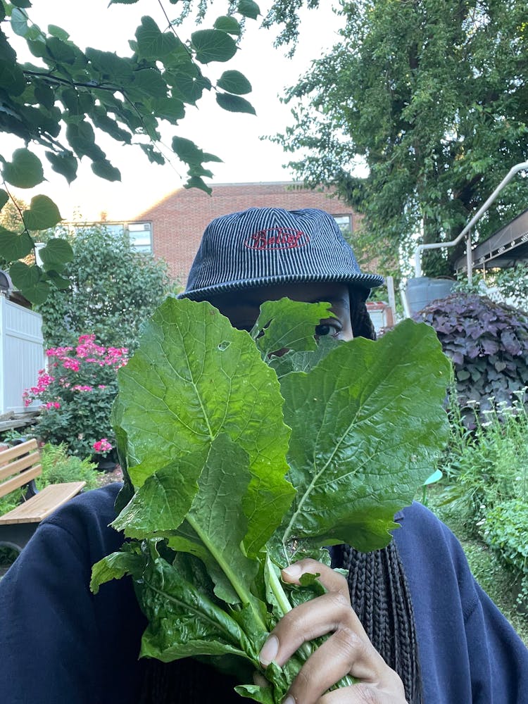 An adult wearing a baseball hat holds large leafy greens in front of their face.