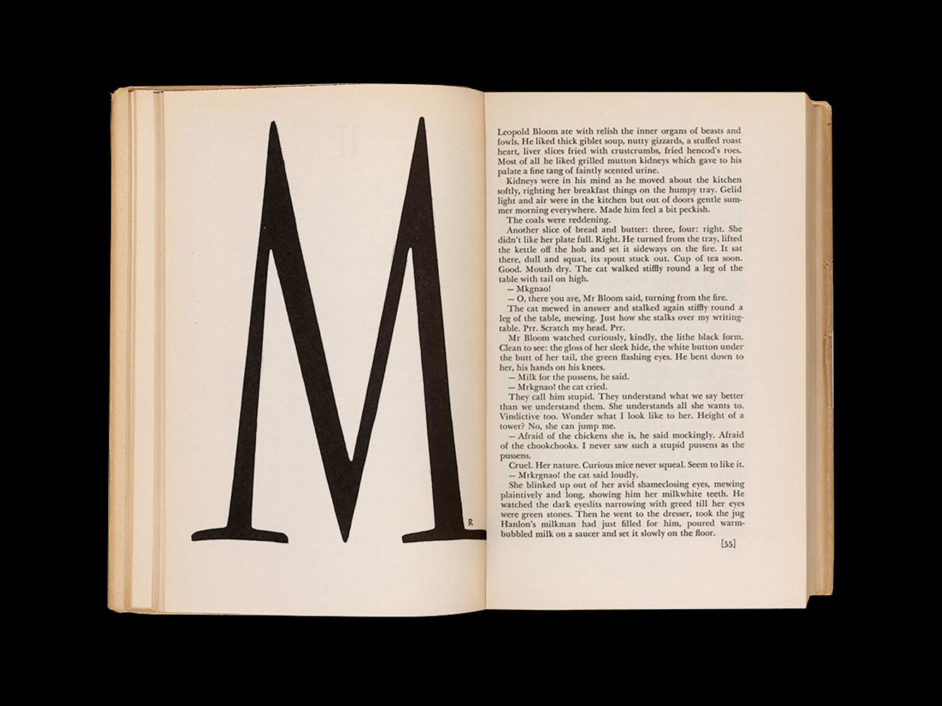 Book spread with a large letter M.