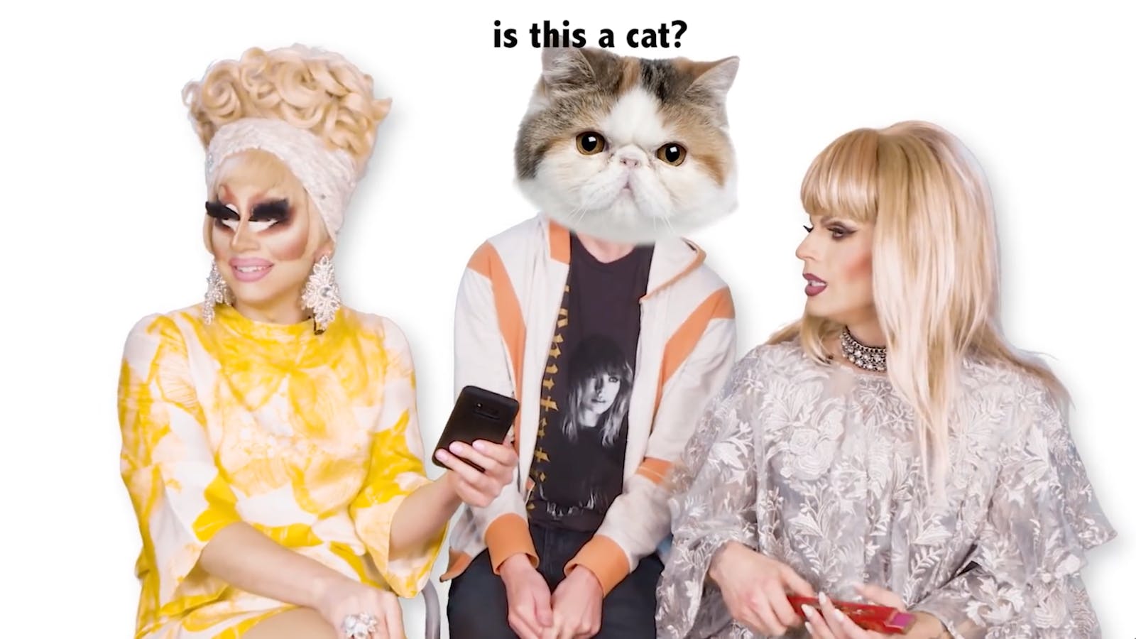 Two drag queens sit in a blank white space looking at a cell phone with a man who has a cat head poorly photoshoped over his own with the text 