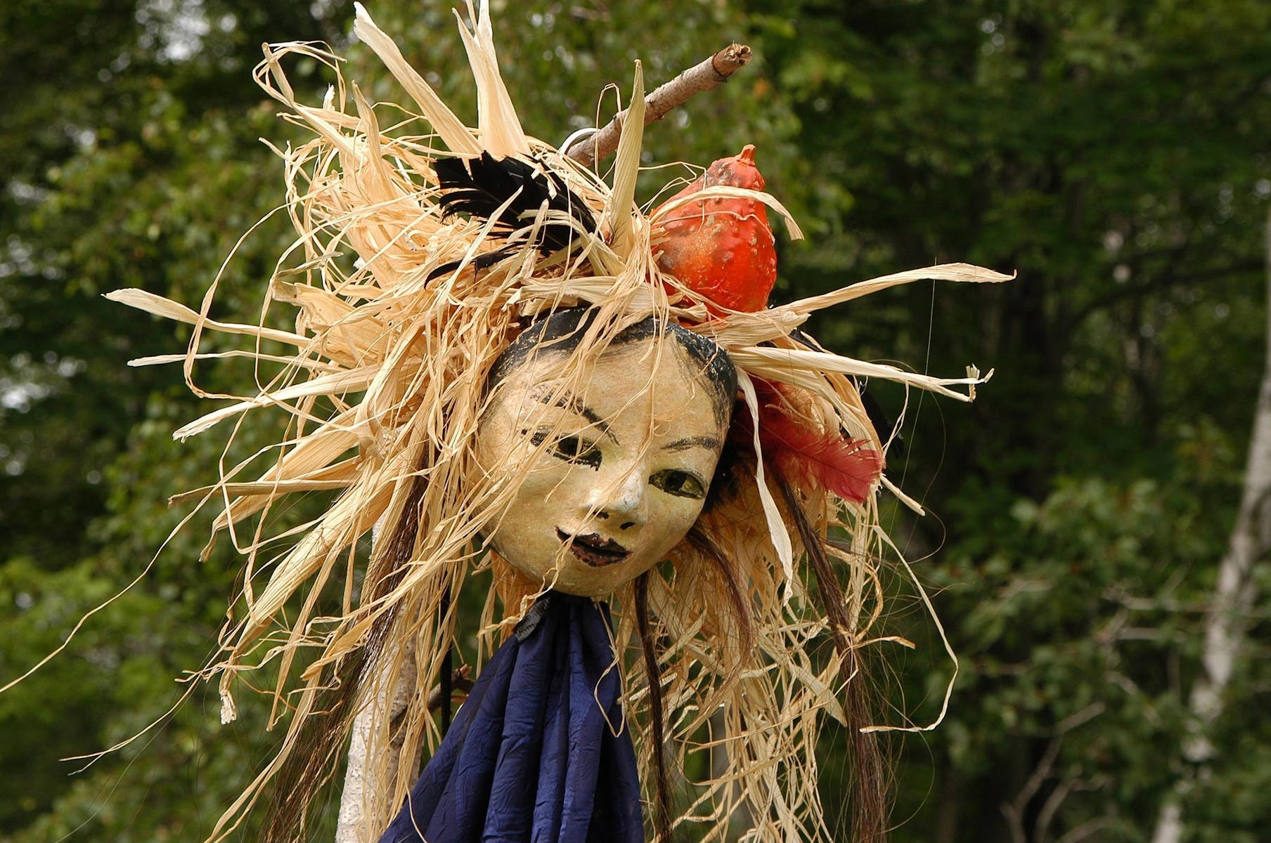 A handmade mask with the face of a woman surrounded with straw raffia, feathers, a gourd and purple fabric photographed outside.