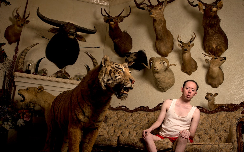 Man sitting on couch in front of a taxidermy tiger and several animal trophies hanging on the wall behind him.