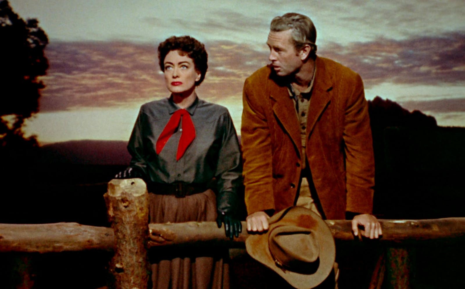 A woman with short curly hair and a red neckerchief stands with a man in a brown corduroy jacket against a log fence with a cloudy sunset behind them.