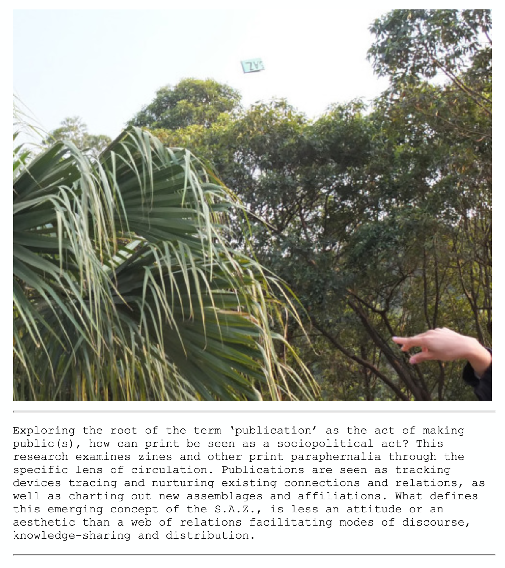 Semi-Autonomous Zine