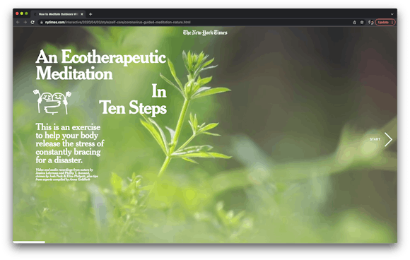 Browser window featuring large image of closeup of green plant with the words "An Ecotherapeutic Meditation in 10 Steps"