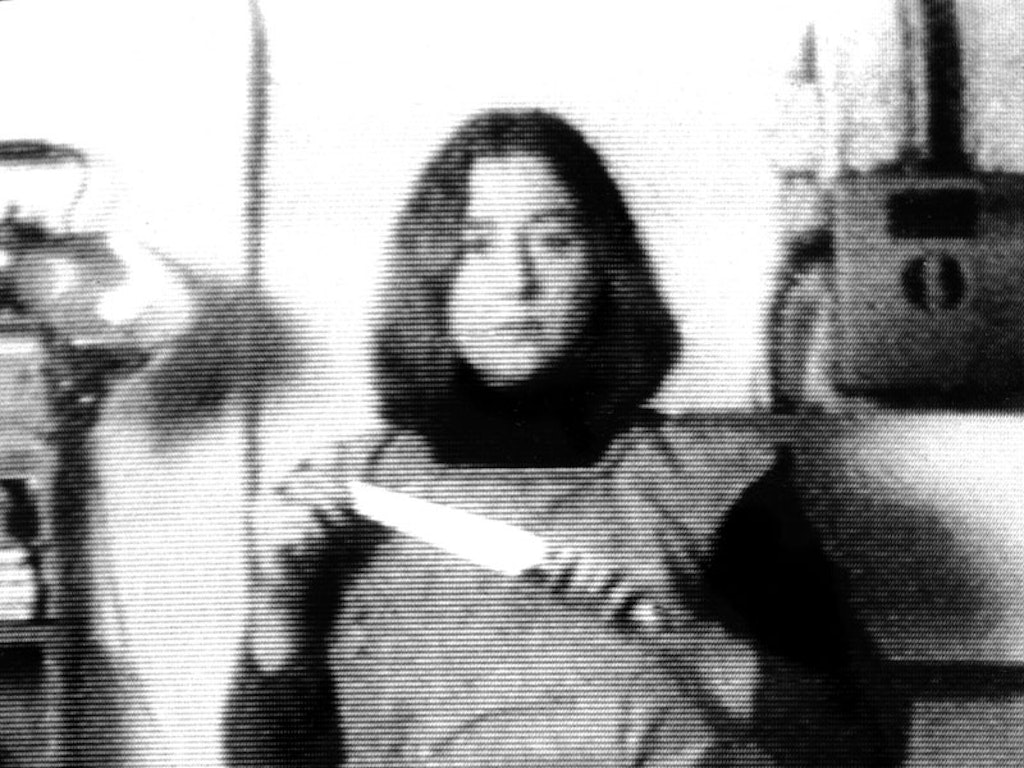 semiotics of the kitchen, martha rosler, art film, art, walker art center, the walker, the walker art center