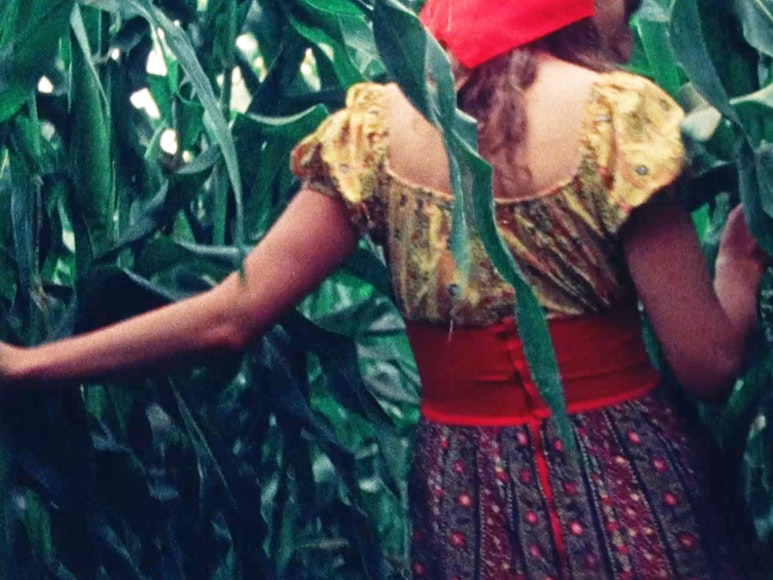FITC: Films by Artists