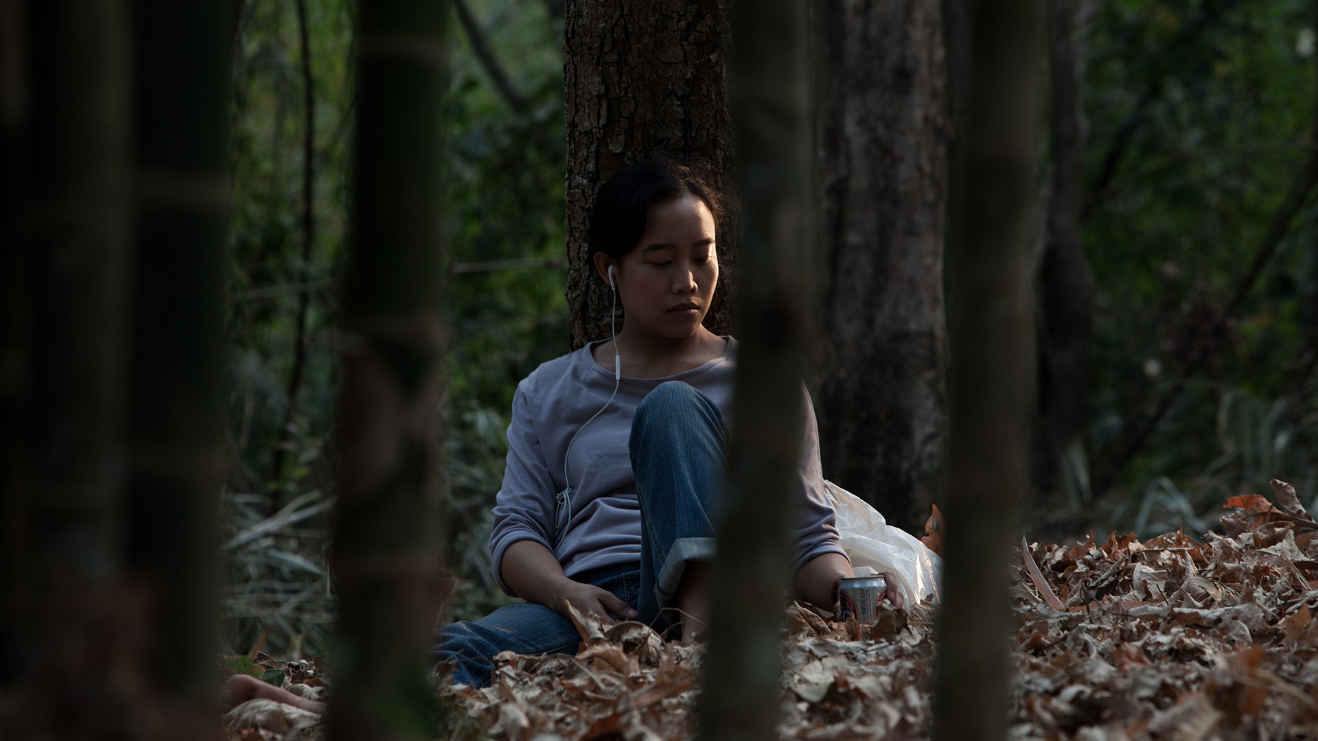 大畠雅人 Into the dark forest （1/8） Amazon | The Mystery of the